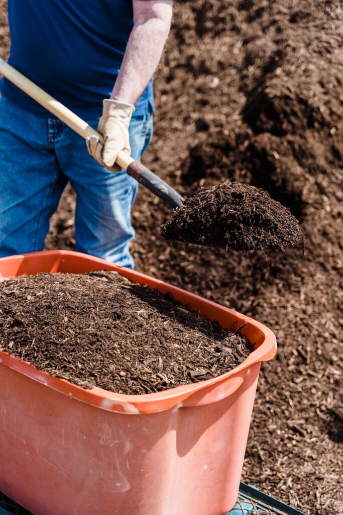 Shoveling soil for garden and yard work